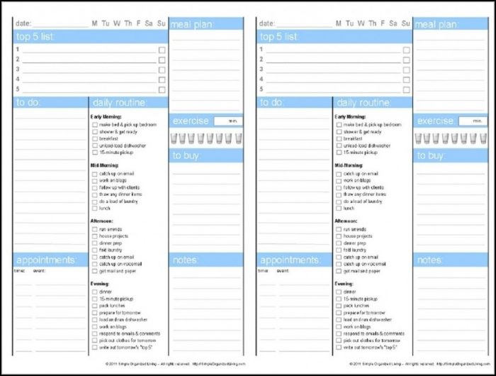 Adhd Daily Planner Template Adhd Daily Planner Template