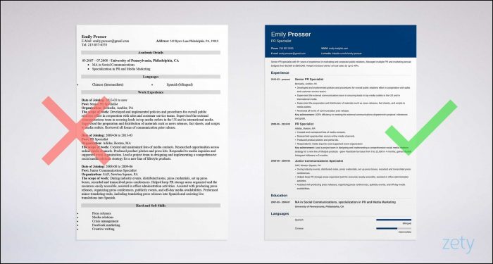 Basic Resume Template Google Docs Basic Resume Template Google Docs
