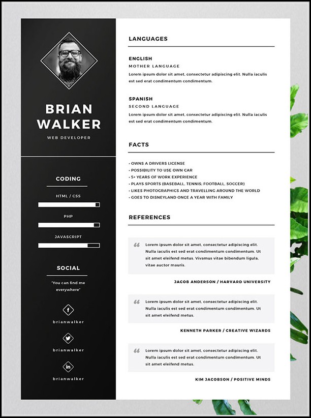 Best Free Resume Templates For Word Best Free Resume Templates For Word