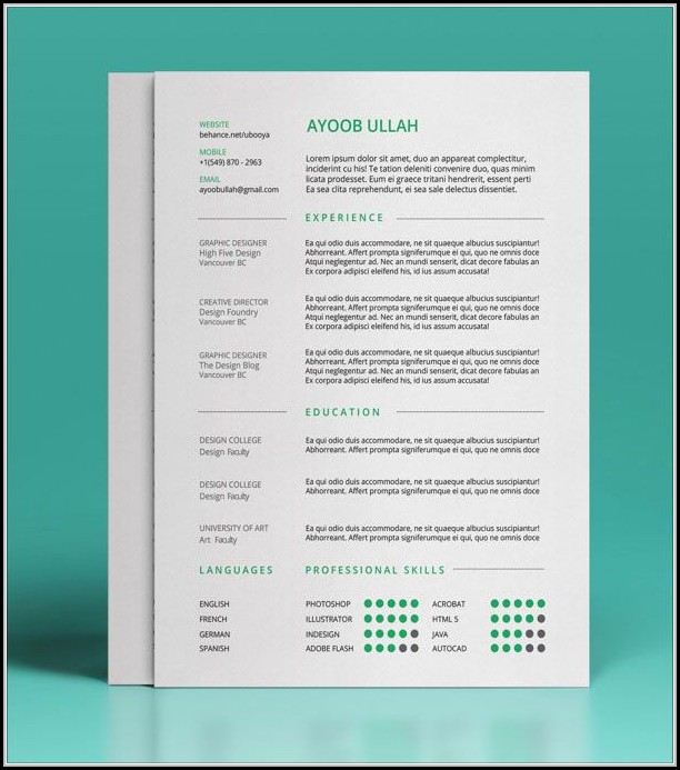 Best Free Resume Templates Best Free Resume Templates