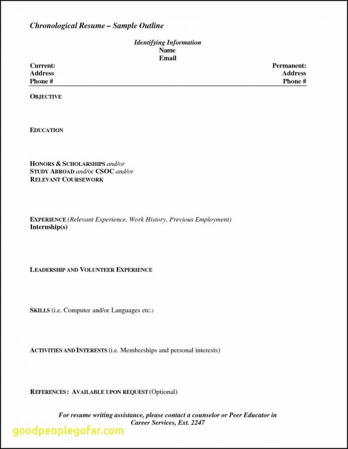 Blank Resume Format For Freshers Blank Resume Format For Freshers