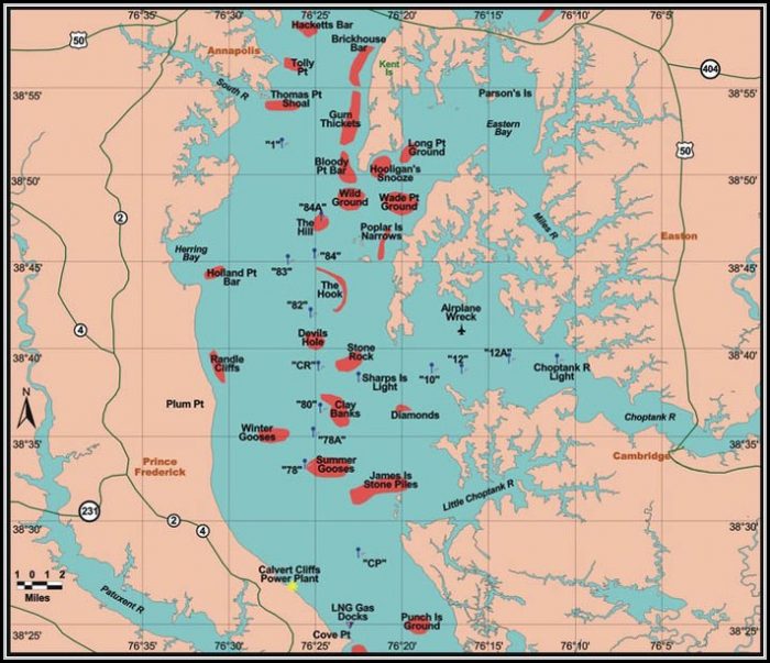 Chesapeake Bay Fishing Map Chesapeake Bay Fishing Map