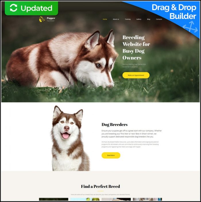 Dog Breeder Website Template Dog Breeder Website Template