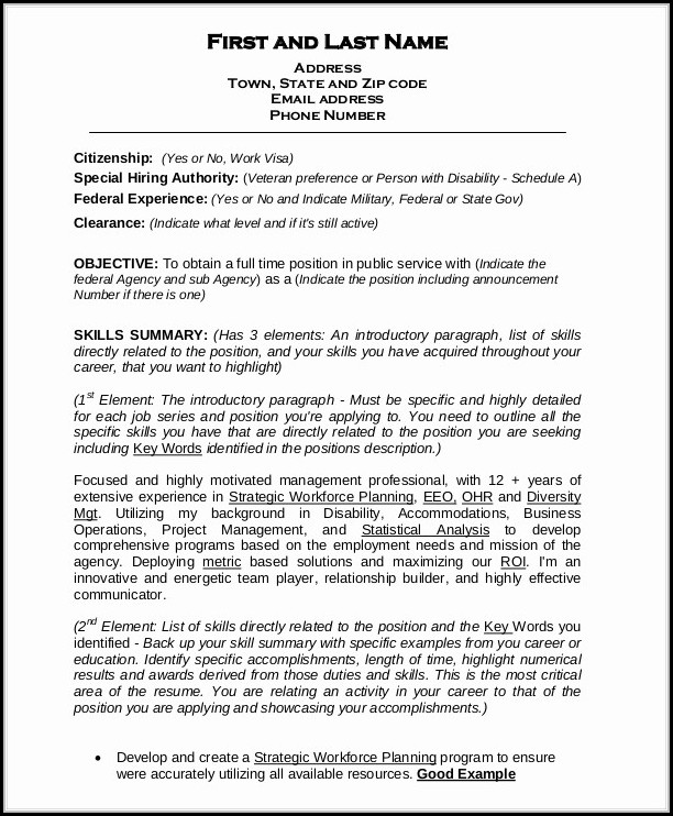 Federal Resume Builder Template Federal Resume Builder Template