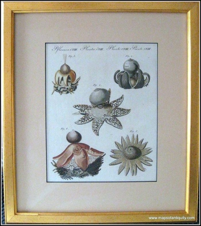 Framed Antique Maps For Sale Framed Antique Maps For Sale