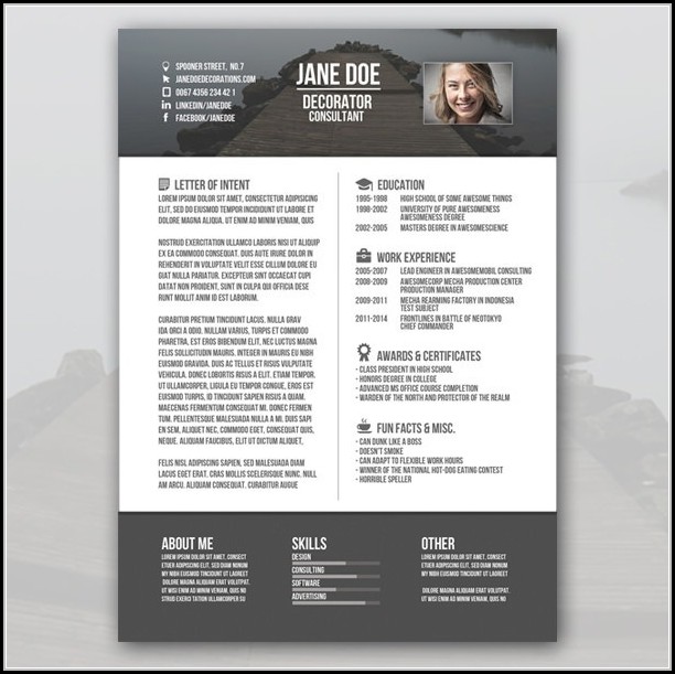Free Creative Resume Templates For Freshers Free Creative Resume Templates For Freshers