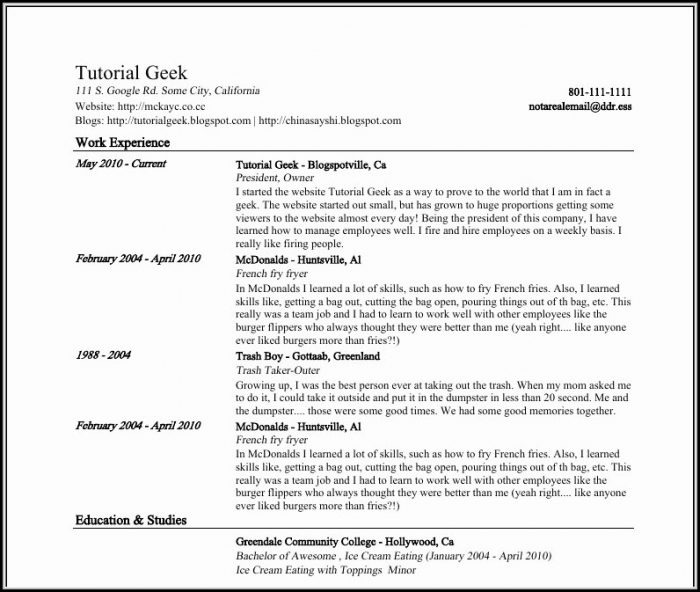 Google Resume Builder Templates Google Resume Builder Templates