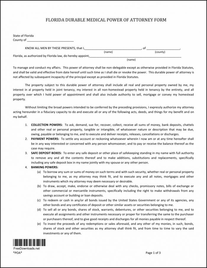 Health Care Power Of Attorney Form Florida Health Care Power Of Attorney Form Florida