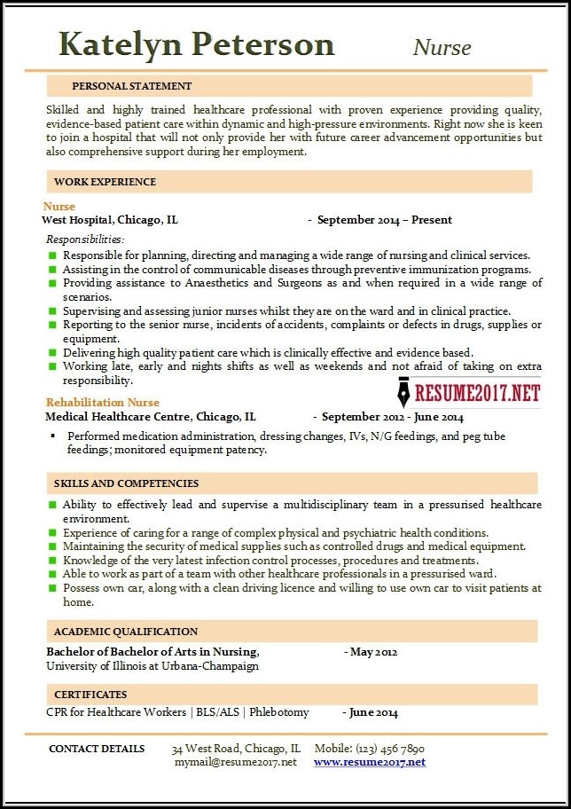 Nursing Resume Templates 2017 Nursing Resume Templates 2017