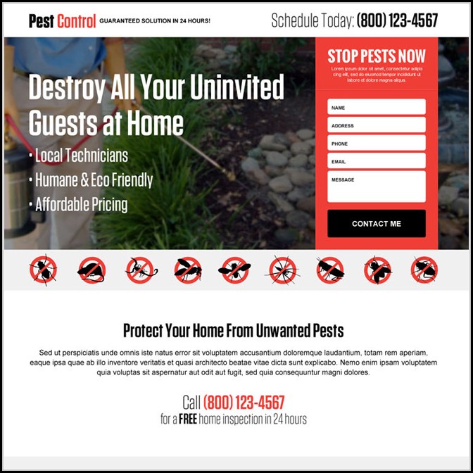 Pest Control Responsive Website Template Free Download Pest Control Responsive Website Template Free Download