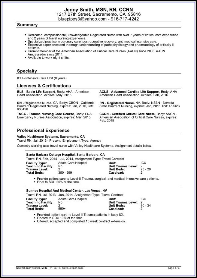 Travel Nurse Resume Template Travel Nurse Resume Template