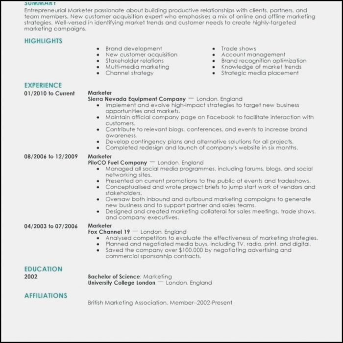 Best Free Resume Templates Online Best Free Resume Templates Online