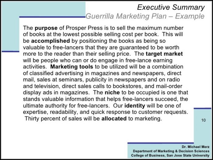 Guerrilla Marketing Plan Template Guerrilla Marketing Plan Template