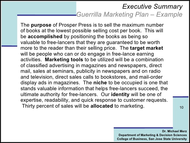 Guerrilla Marketing Plan Template 2 Resume Examples Guerrilla Marketing Plan Template