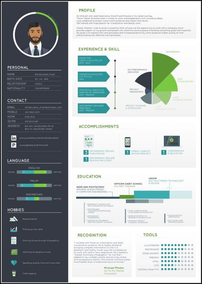 Infographic Resume Builder Infographic Resume Builder