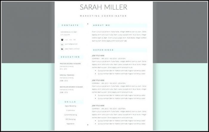 Minimalist Resume Template Word Free Minimalist Resume Template Word Free