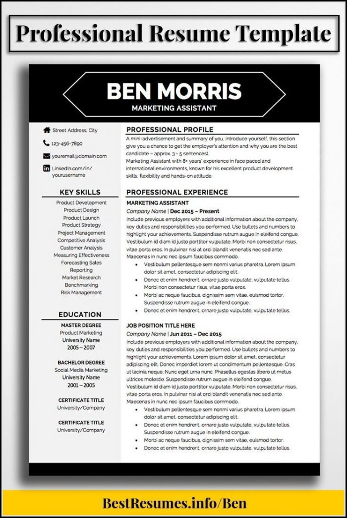 Modern Downloadable Resume Template Modern Downloadable Resume Template