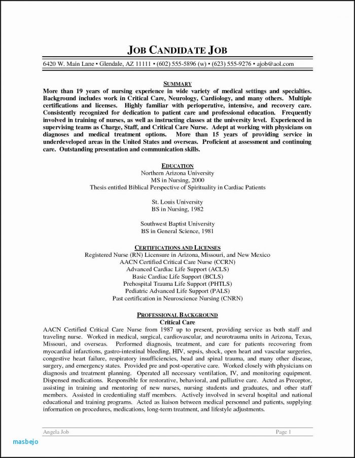 Nurse Practitioner Resume Template Free Nurse Practitioner Resume Template Free