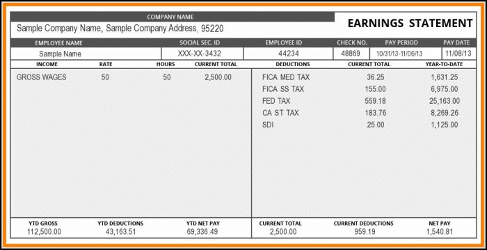 Pay Stub Template Word Document Pay Stub Template Word Document