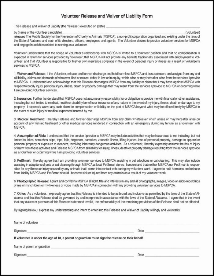 Release Of Liability Form Car Sale Template Release Of Liability Form Car Sale Template