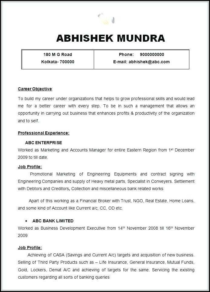 Resume Builder For Government Jobs Resume Builder For Government Jobs