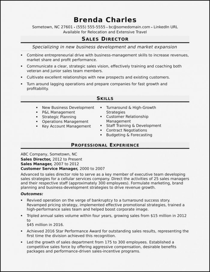 Resume Template For Sales Director Resume Template For Sales Director