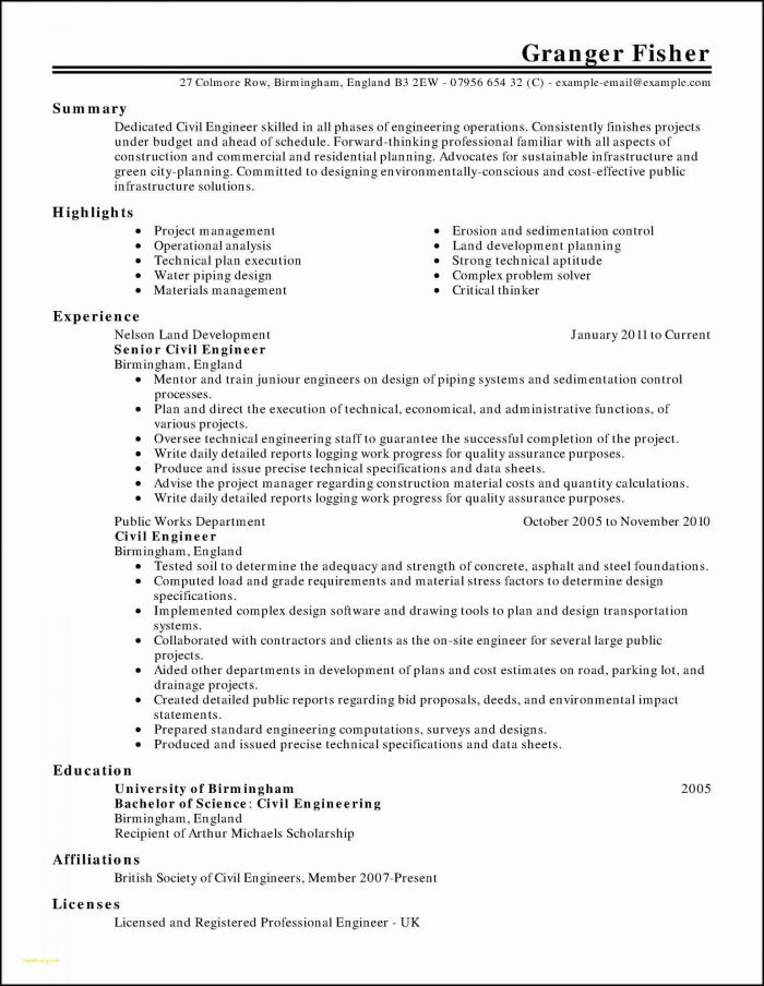 Resume Template For Sales Executive Resume Template For Sales Executive