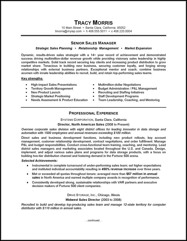 Resume Template For Sales Resume Template For Sales