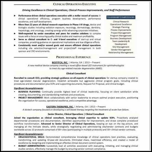 Resume Writing Services Atlanta Ga Resume Writing Services Atlanta Ga