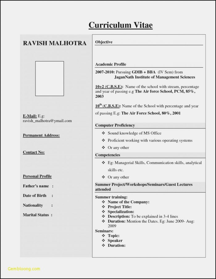 Simple Resume Format For Freshers Free Download Simple Resume Format For Freshers Free Download