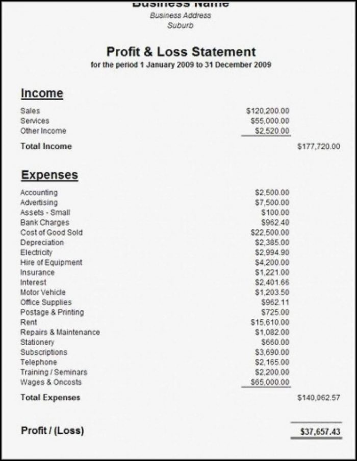 Template For Profit And Loss Statement For Self Employed Template For Profit And Loss Statement For Self Employed