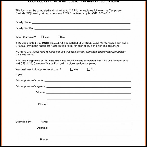 Temporary Child Custody Form Temporary Child Custody Form