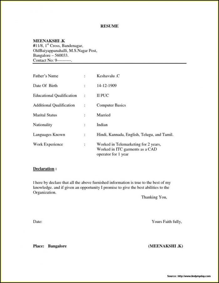 Basic Resume Format Word File Download Basic Resume Format Word File Download
