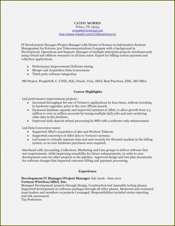 Best Professional Resume Writers Nyc Best Professional Resume Writers Nyc