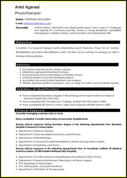 Chicago Resume Writing Services Chicago Resume Writing Services