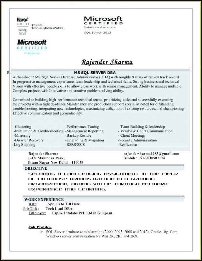 Creative Resumes Templates Word Creative Resumes Templates Word