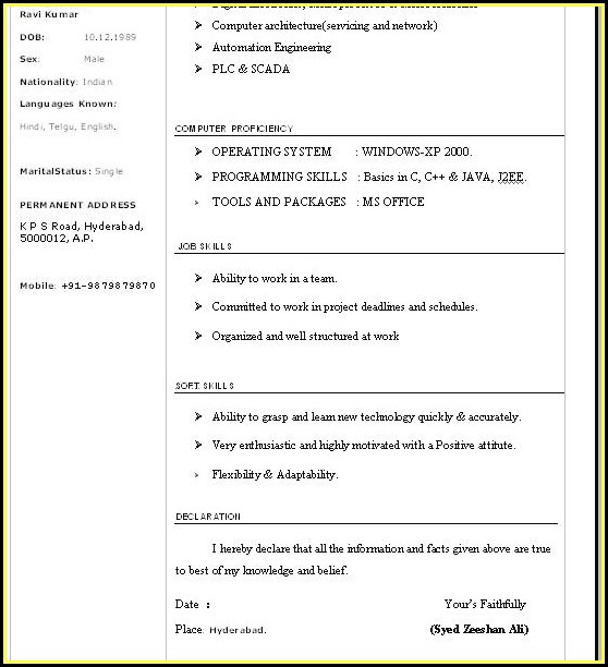 Curriculum Vitae Format Doc Free Download Curriculum Vitae Format Doc Free Download