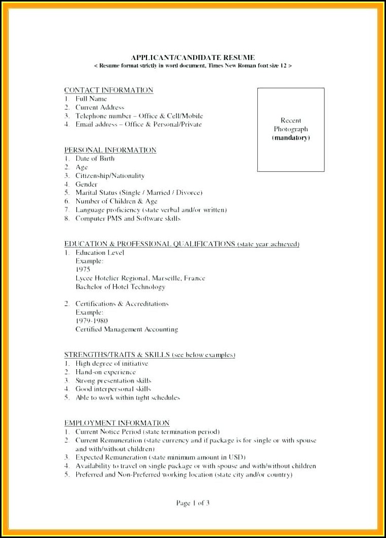 different types of resume format free download resume resume different types of resume format free download