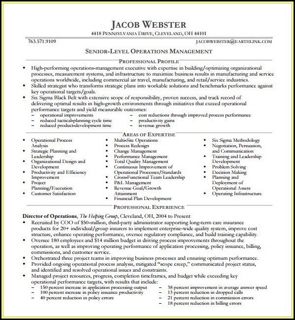 Executive Resume Examples Free Executive Resume Examples Free