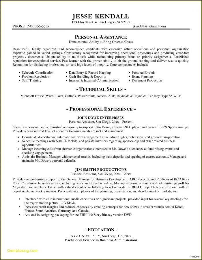 Executive Resume Examples Word Executive Resume Examples Word