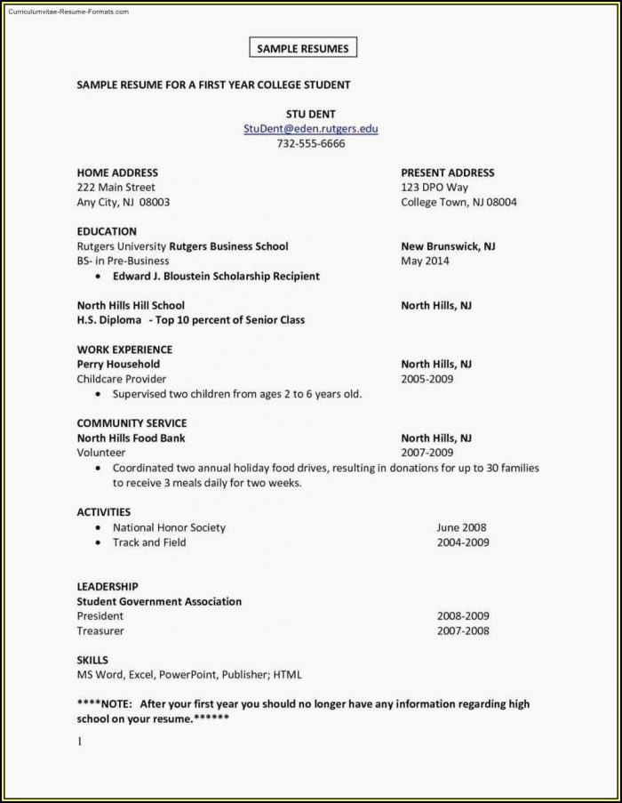 First Job Resume Template Free First Job Resume Template Free