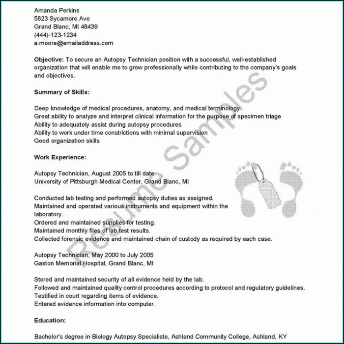 Beautiful Resume Templates Microsoft Word Beautiful Resume Templates Microsoft Word