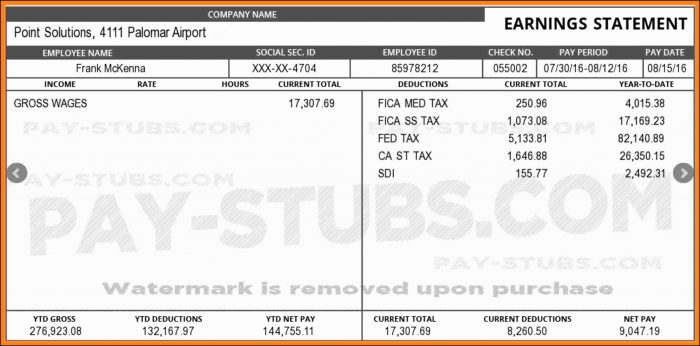 Earnings Statement Template Free Earnings Statement Template Free