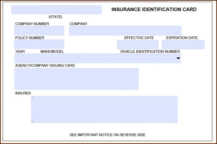 Fake Auto Insurance Template Fake Auto Insurance Template