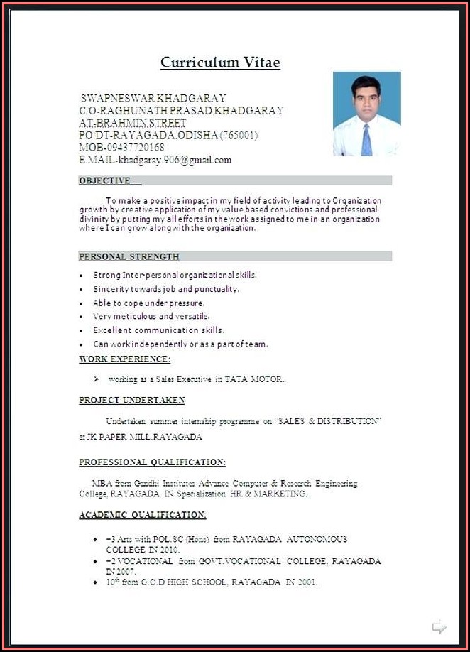 Free Download Resume Format Word Document Free Download Resume Format Word Document
