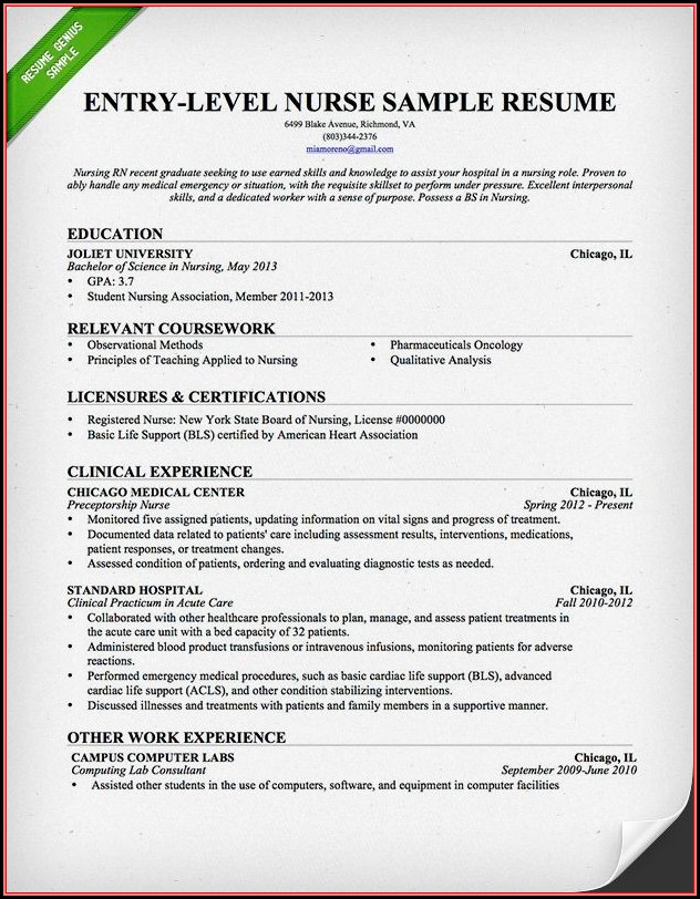 Free Entry Level Nurse Resume Template Free Entry Level Nurse Resume Template