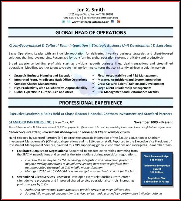 Free Executive Resumes Templates Free Executive Resumes Templates