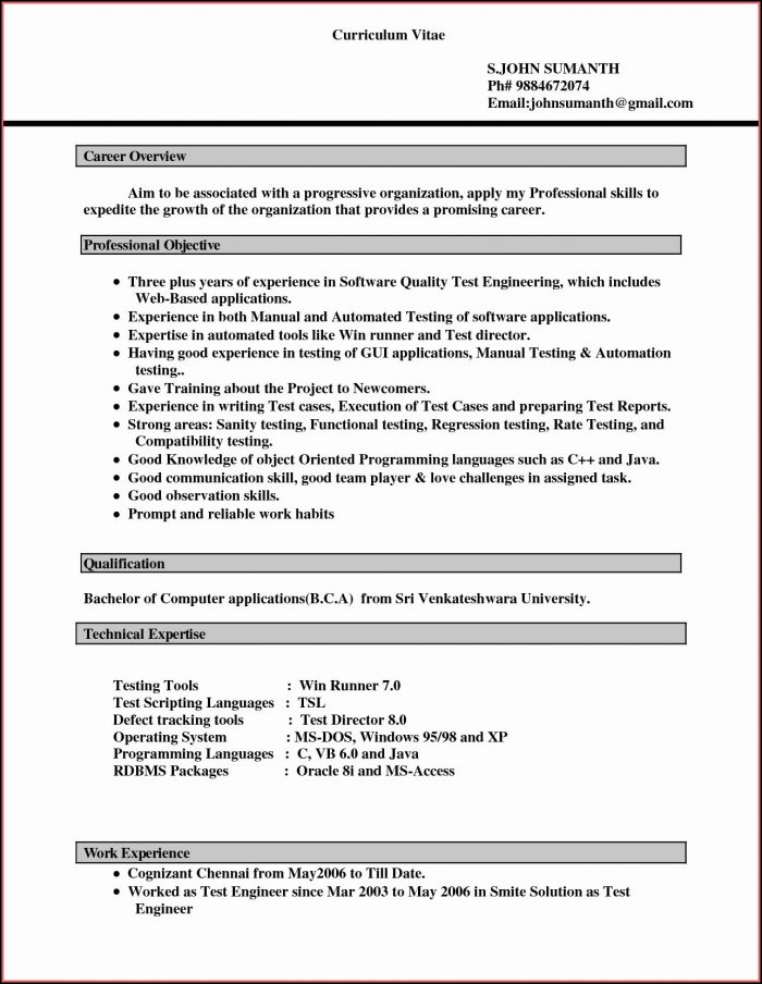 Free Resume Formats In Word Document Free Resume Formats In Word Document