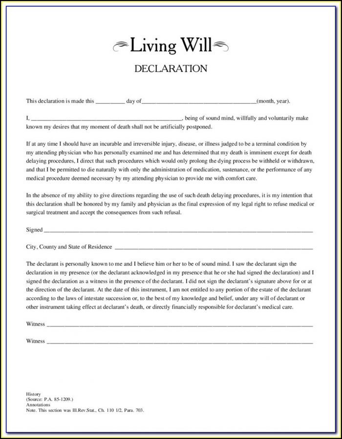 Free Printable Living Will Forms Illinois Free Printable Living Will Forms Illinois