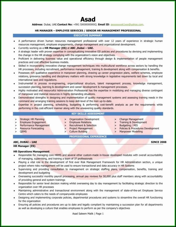 Mis Executive Resume Format In Word Download Mis Executive Resume Format In Word Download